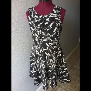 Express all occasion dress